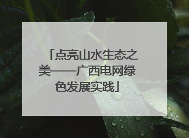 点亮山水生态之美——广西电网绿色发展实践