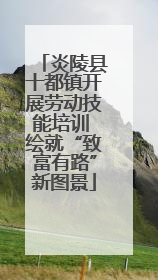 炎陵县十都镇开展劳动技能培训 绘就“致富有路”新图景