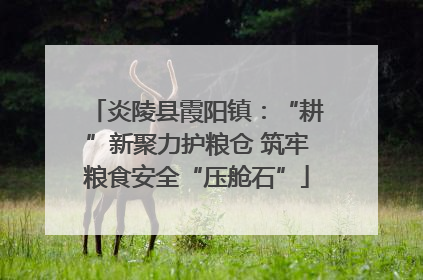 炎陵县霞阳镇：“耕”新聚力护粮仓 筑牢粮食安全“压舱石”