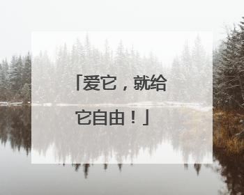 爱它，就给它自由！