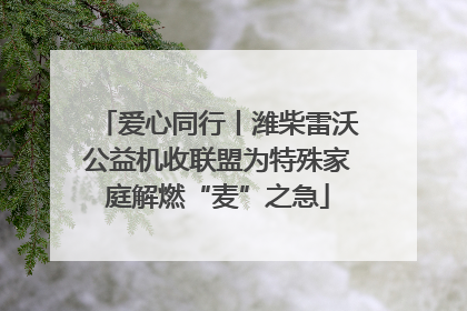 爱心同行丨潍柴雷沃公益机收联盟为特殊家庭解燃“麦”之急