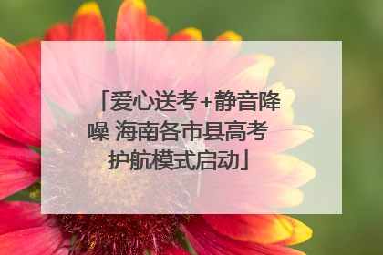 爱心送考+静音降噪 海南各市县高考护航模式启动