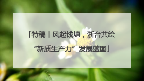特稿丨风起钱塘，浙台共绘“新质生产力”发展蓝图