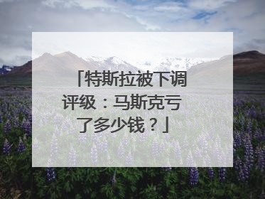 特斯拉被下调评级：马斯克亏了多少钱？
