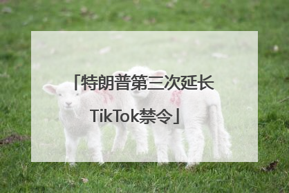特朗普第三次延长TikTok禁令