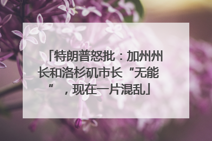 特朗普怒批：加州州长和洛杉矶市长“无能”，现在一片混乱