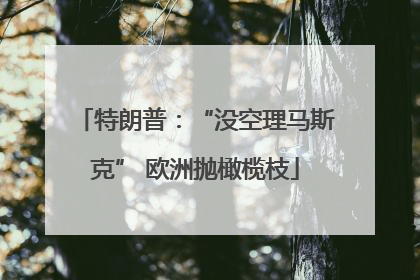 特朗普：“没空理马斯克” 欧洲抛橄榄枝