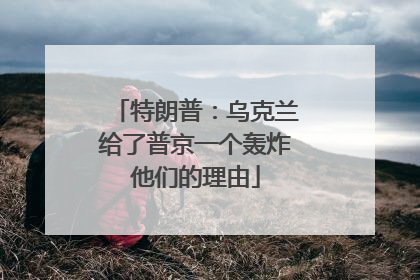 特朗普：乌克兰给了普京一个轰炸他们的理由