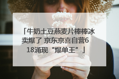 牛奶土豆燕麦片棒棒冰卖爆了 京东京喜自营618涌现“爆单王”