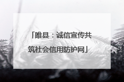 睢县：诚信宣传共筑社会信用防护网