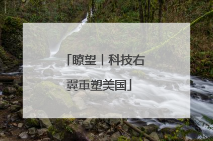 瞭望丨科技右翼重塑美国