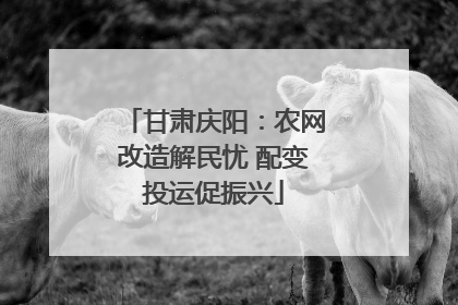 甘肃庆阳：农网改造解民忧 配变投运促振兴