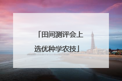 田间测评会上选优种学农技
