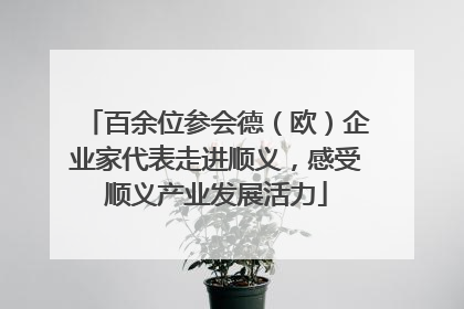 百余位参会德（欧）企业家代表走进顺义，感受顺义产业发展活力