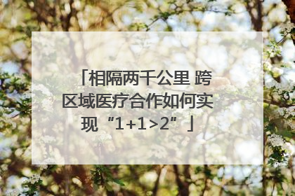 相隔两千公里 跨区域医疗合作如何实现“1+1>2”