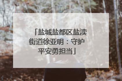 盐城盐都区盐渎街道徐亚明：守护平安勇担当