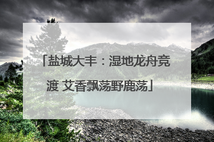 盐城大丰：湿地龙舟竞渡 艾香飘荡野鹿荡