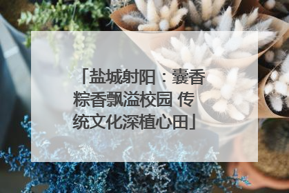 盐城射阳：囊香粽香飘溢校园 传统文化深植心田
