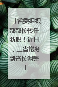 省委组织部部长转任新职！近日，三省常务副省长调整