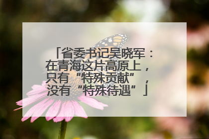 省委书记吴晓军：在青海这片高原上，只有“特殊贡献”，没有“特殊待遇”