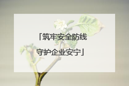 筑牢安全防线 守护企业安宁