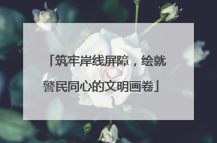 筑牢岸线屏障，绘就警民同心的文明画卷