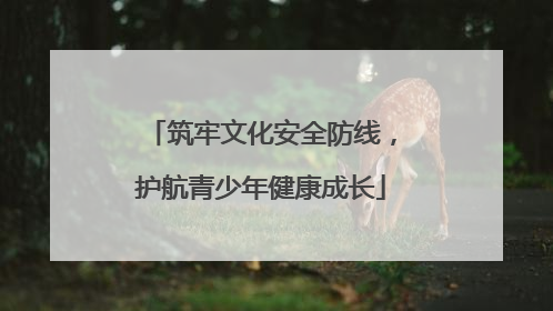 筑牢文化安全防线，护航青少年健康成长