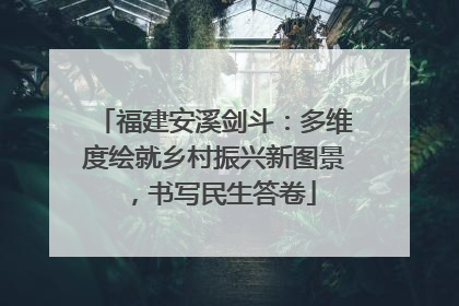 福建安溪剑斗：多维度绘就乡村振兴新图景，书写民生答卷