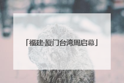 福建·厦门台湾周启幕