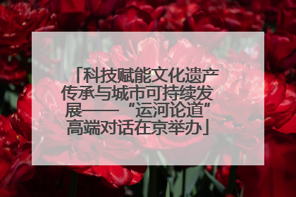 科技赋能文化遗产传承与城市可持续发展——“运河论道”高端对话在京举办