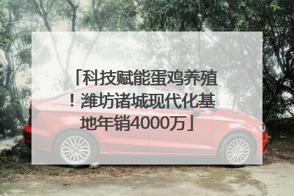 科技赋能蛋鸡养殖！潍坊诸城现代化基地年销4000万