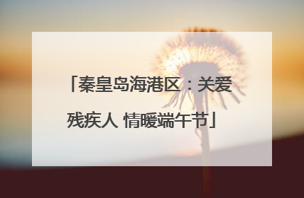 秦皇岛海港区：关爱残疾人 情暖端午节
