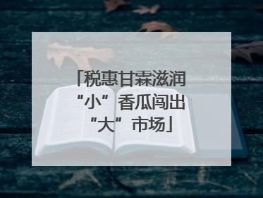税惠甘霖滋润“小”香瓜闯出“大”市场