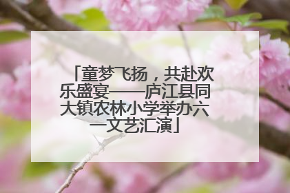 童梦飞扬，共赴欢乐盛宴——庐江县同大镇农林小学举办六一文艺汇演