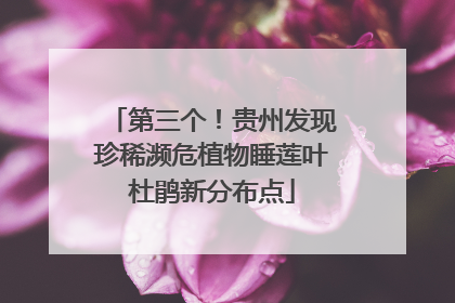 第三个！贵州发现珍稀濒危植物睡莲叶杜鹃新分布点