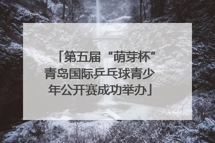 第五届“萌芽杯”青岛国际乒乓球青少年公开赛成功举办