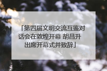 第四届文明交流互鉴对话会在敦煌开幕 胡昌升出席开幕式并致辞