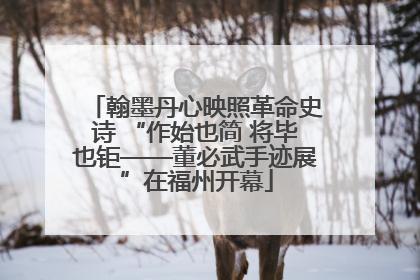 翰墨丹心映照革命史诗 “作始也简 将毕也钜——董必武手迹展”在福州开幕