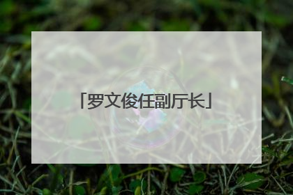 罗文俊任副厅长