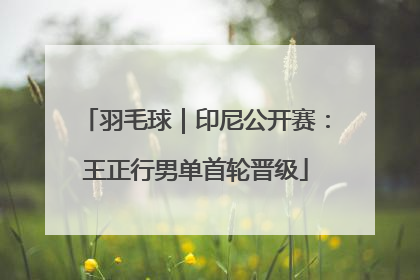 羽毛球｜印尼公开赛：王正行男单首轮晋级