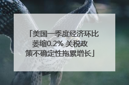 美国一季度经济环比萎缩0.2% 关税政策不确定性拖累增长