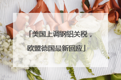 美国上调钢铝关税，欧盟德国最新回应
