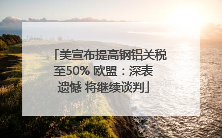 美宣布提高钢铝关税至50% 欧盟：深表遗憾 将继续谈判