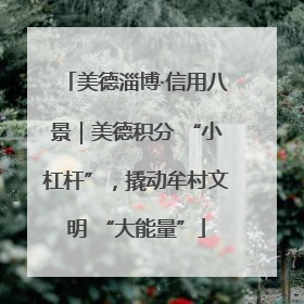 美德淄博·信用八景｜美德积分 “小杠杆”，撬动牟村文明 “大能量”