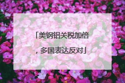 美钢铝关税加倍，多国表达反对