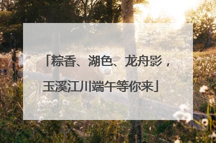 粽香、湖色、龙舟影，玉溪江川端午等你来