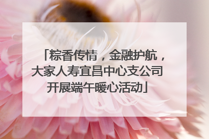 粽香传情，金融护航，大家人寿宜昌中心支公司开展端午暖心活动