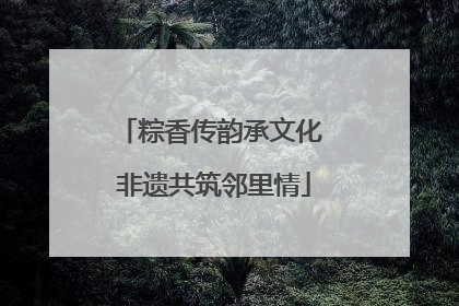 粽香传韵承文化 非遗共筑邻里情