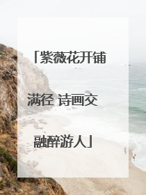 紫薇花开铺满径 诗画交融醉游人