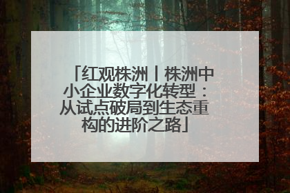 红观株洲丨株洲中小企业数字化转型：从试点破局到生态重构的进阶之路